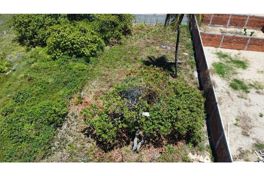 Terreno - Venda - Entre Rios , Bahia - Imagem do WhatsApp de 2025-11-07 à(s) 17.07.49_724261f3.jpg - 580701006-54