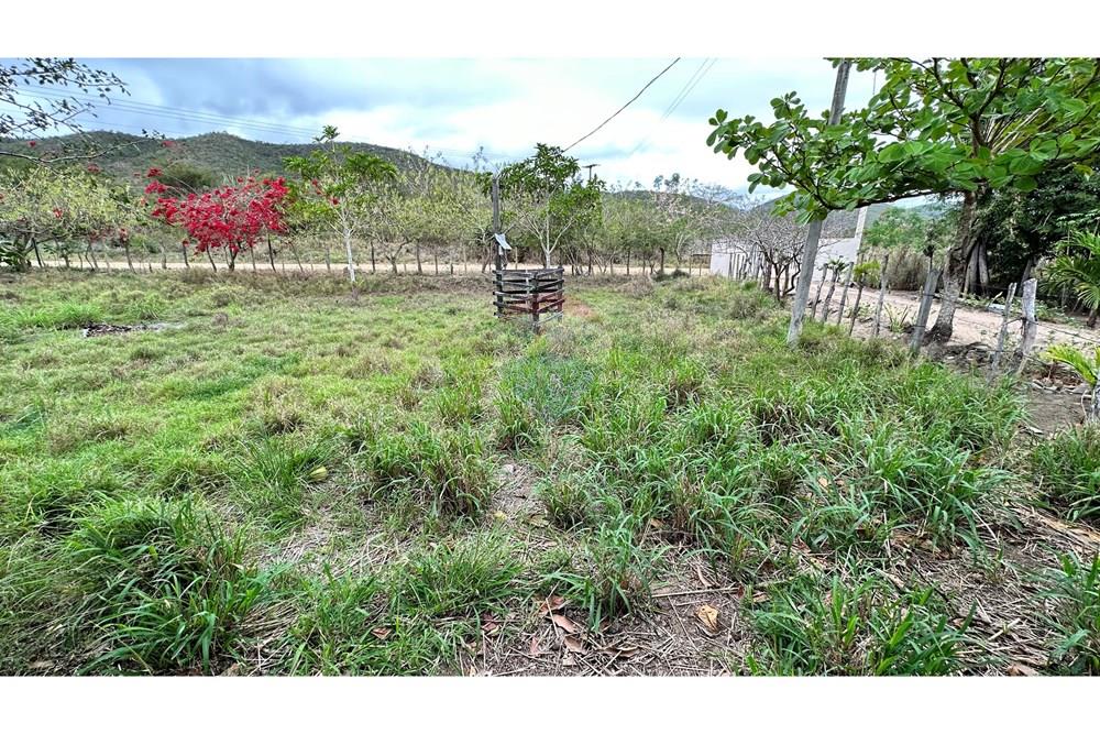 Chácara / Sítio / Fazenda - Venda - Jequié , Bahia - image00015.jpeg - 580731023-51