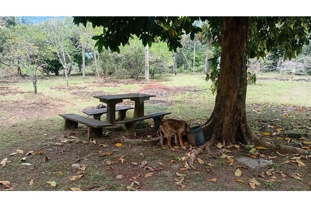 Chácara / Sítio / Fazenda - Alugar - Camaçari , Bahia - WhatsApp Image 2025-10-15 at 14.32.45.jpeg - 580331013-753