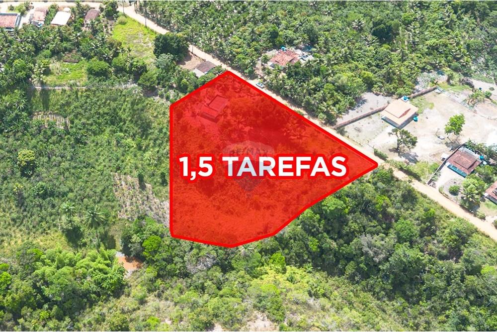 Chácara / Sítio / Fazenda - Venda - Santo Antônio de Jesus , Bahia - DJI_0696.jpg - 580341015-104