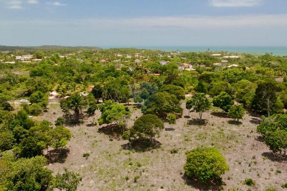 Terreno - Venda - Trancoso , Bahia - WhatsApp Image 2026-01-14 at 08.41.57 (1).jpeg - 580581012-109