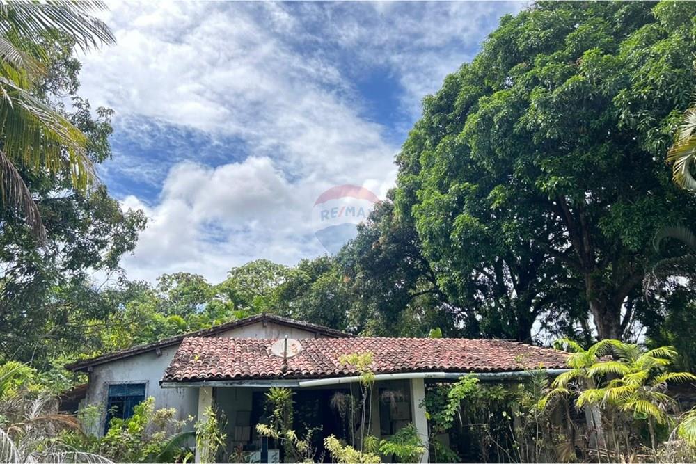 Chácara / Sítio / Fazenda - Venda - Salvador , Bahia - WhatsApp Image 2026-01-15 at 11.46.49.jpeg - 580721041-2