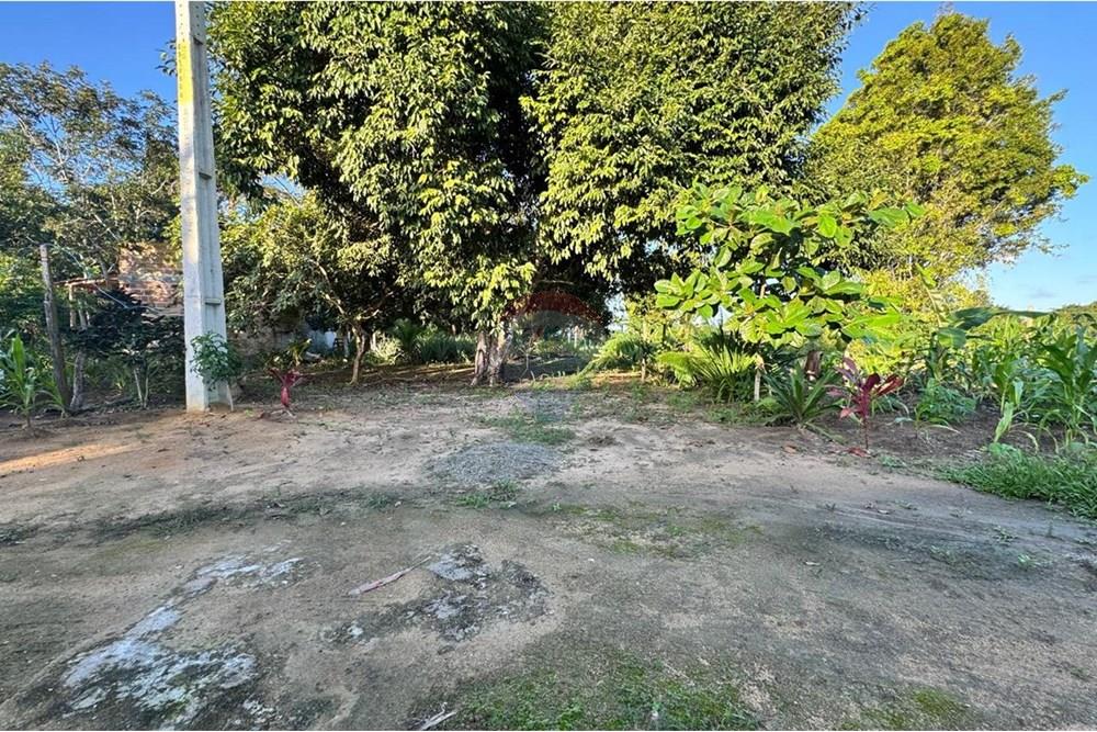 Terreno à venda - Foto 2