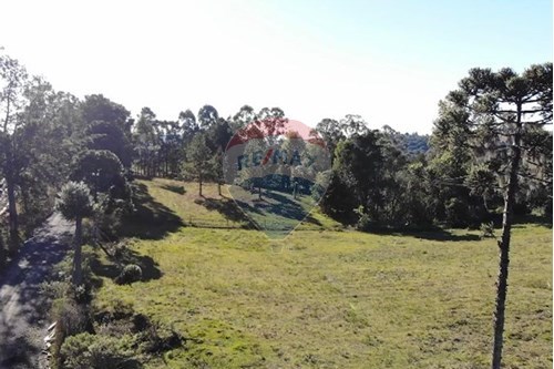 Venda-Terreno-Rua Romualdo Antônio do Pilar , S/N  - Jardim das Camélias , Lages , Santa Catarina , 88519200-590071041-17