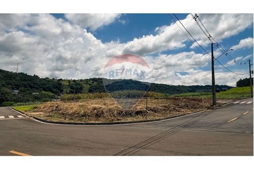 Venda-Terreno-Rua D , SN  - Nações , Herval d'Oeste , Santa Catarina , 89610-000-590271032-631