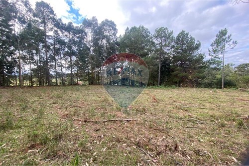 Venda-Terreno-Jardim das Camélias , Lages , Santa Catarina , 88519200-590071041-12