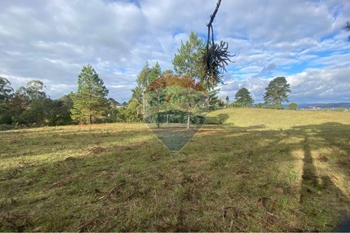 Venda-Terreno-Jardim das Camélias , Lages , Santa Catarina , 88519200-590071041-6