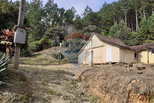 Venda-Chácara / Sítio / Fazenda-Ribeirão Carvão , Benedito Novo , Santa Catarina , 89124-000-590301034-16