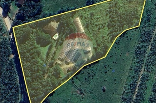 Venda-Chácara / Sítio / Fazenda-Itajuba , Barra Velha , Santa Catarina , 88390000-590481033-5