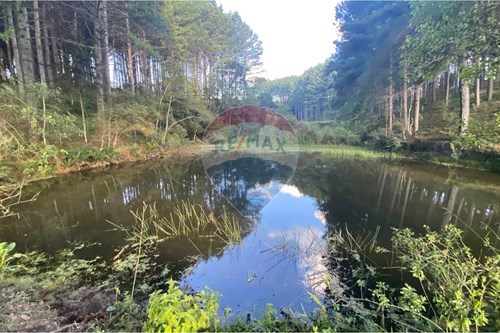 Venda-Chácara / Sítio / Fazenda-Centro , Lages , Santa Catarina , 88543000-590071044-14