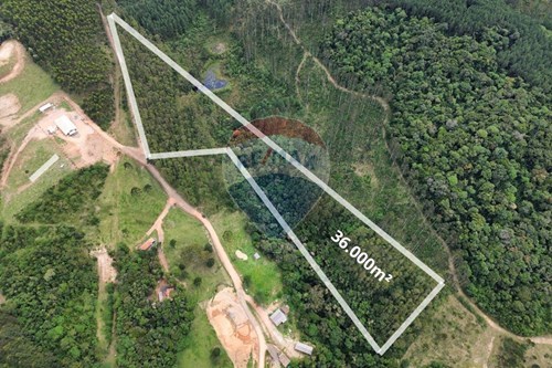 Venda-Terreno-Rio Mergulhão , Rio dos Cedros , Santa Catarina , 89121000-590211067-4