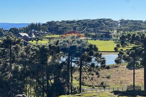 Venda-Terreno-Centro , Painel , Santa Catarina , 88543959-590071003-195