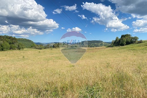 Venda-Chácara / Sítio / Fazenda-Centro , Painel , Santa Catarina , 88543000-590071044-22