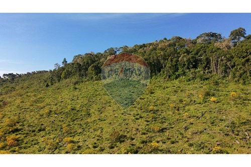 Venda-Chácara / Sítio / Fazenda-Rincão dos Albinos , S/N  - Rincão dos Albinos  - Centro , São José do Cerrito , Santa Catarina , 88570000-590071044-13