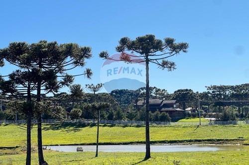 Venda-Terreno-Centro , Painel , Santa Catarina , 88543959-590071003-194