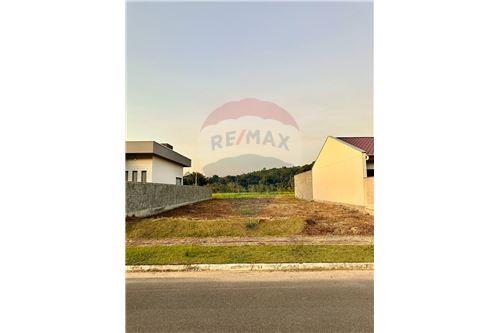 For Sale-Land-Padre Martinho Stein , Timbó , Santa Catarina , 89120000-590211006-93