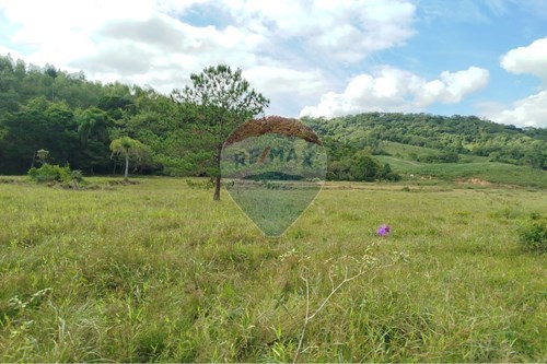 Venda-Chácara / Sítio / Fazenda-Margem Esquerda , Apiúna , Santa Catarina , 89135000-590301027-105