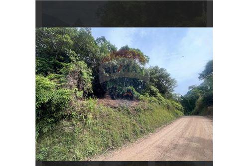 For Sale-Land-Vale do Selke Grande , Pomerode , Santa Catarina , 89107000-590211001-76