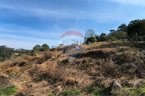 Venda-Terreno-Caroba , Lages , Santa Catarina , 88516160-590071033-18