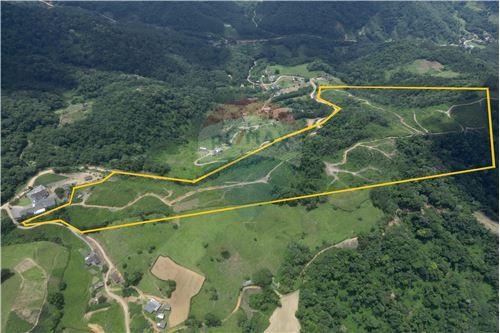 For Sale-Land-Rodovia Municipal BNV-230 , 0  - Ribeirão Tigre , Benedito Novo , Santa Catarina , 89124-000-590211006-115