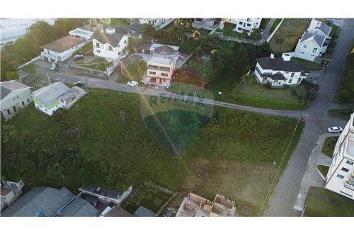 For Sale-Land-Rua Plácido Damiane , S/N  - Frei Rogério , Lages , Santa Catarina , 88508070-590071007-69