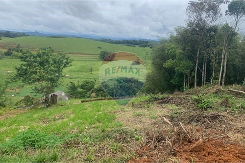 Venda-Terreno-Limoeiro , Itajaí , Santa Catarina , 88318-112-590531040-1