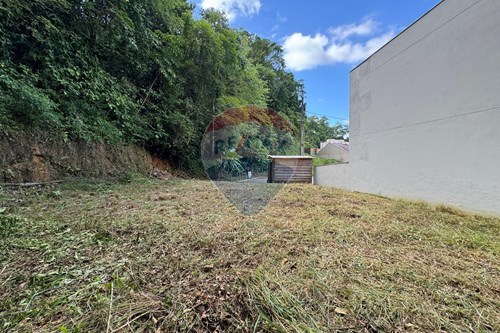Venda-Terreno-Rua Bertha Bornhofen , Lote 40  - Passo Manso , Blumenau , Santa Catarina , 89032-454-590301006-91