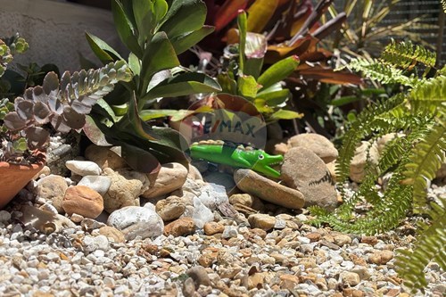 Slider Image Thumbnail