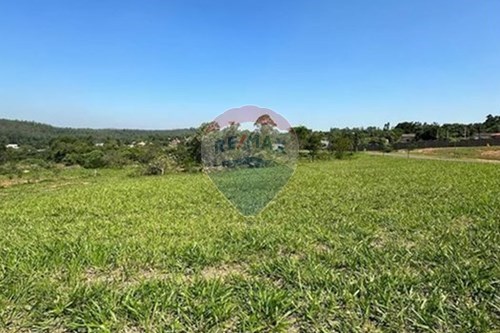 Venda-Terreno-São Vicente , Itajaí , Santa Catarina , 88309250-590321001-25