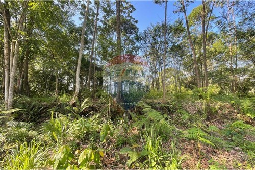 Venda-Terreno-Rua das Goiabeiras , 76  - Loteamento Jardim Monte Verde  - São Simão , Criciúma , Santa Catarina , 88811-428-590311026-43