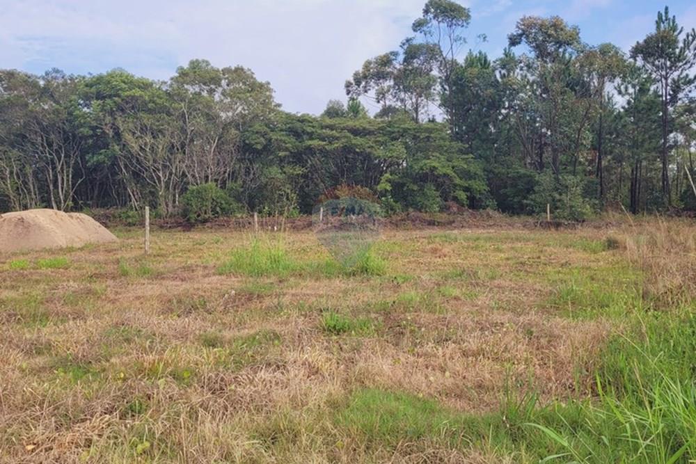 Terreno - Venda - Balneário Gaivota , Santa Catarina - 20250411_085359.jpg - 590491002-30