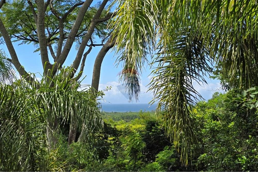 Casa - Venda - Florianópolis , Santa Catarina - 20250220_104315.jpg - Varanda - 590101001-54