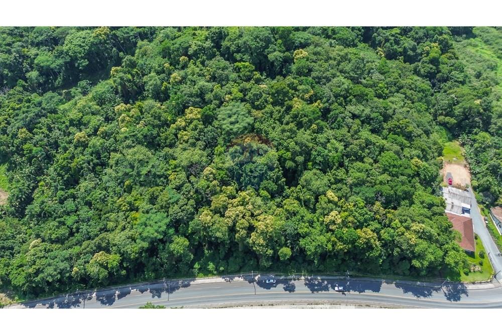 Residential - Nezazidljivo zemljišče - Timbó , Santa Catarina - BR - WhatsApp Image 2025-03-06 at 16.36.10 (3).jpeg - 590211051-18