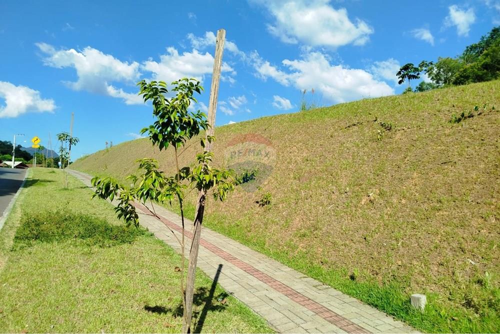 Terreno - Venda - Blumenau , Santa Catarina - WhatsApp Image 2026-03-03 at 14.51.37.jpeg - 590301027-118