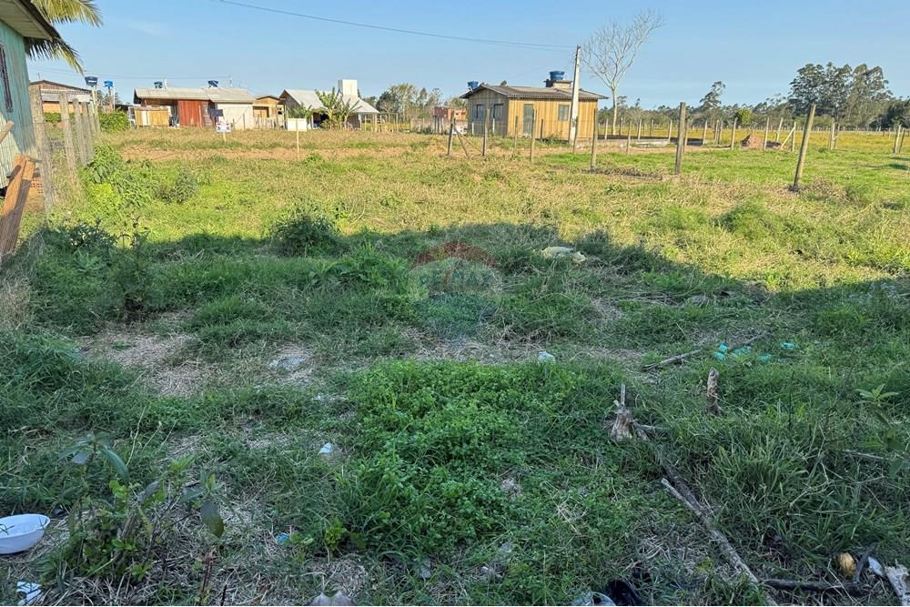 Terreno - Venda - Santa Rosa do Sul , Santa Catarina - IMG_7346.jpg - 590491012-2