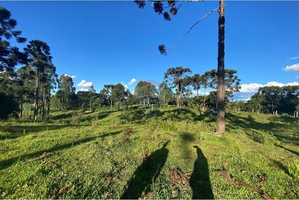 Chácara / Sítio / Fazenda - Venda - Lages , Santa Catarina - WhatsApp Image 2025-07-08 at 16.18.14 (1).jpeg - 590071044-14