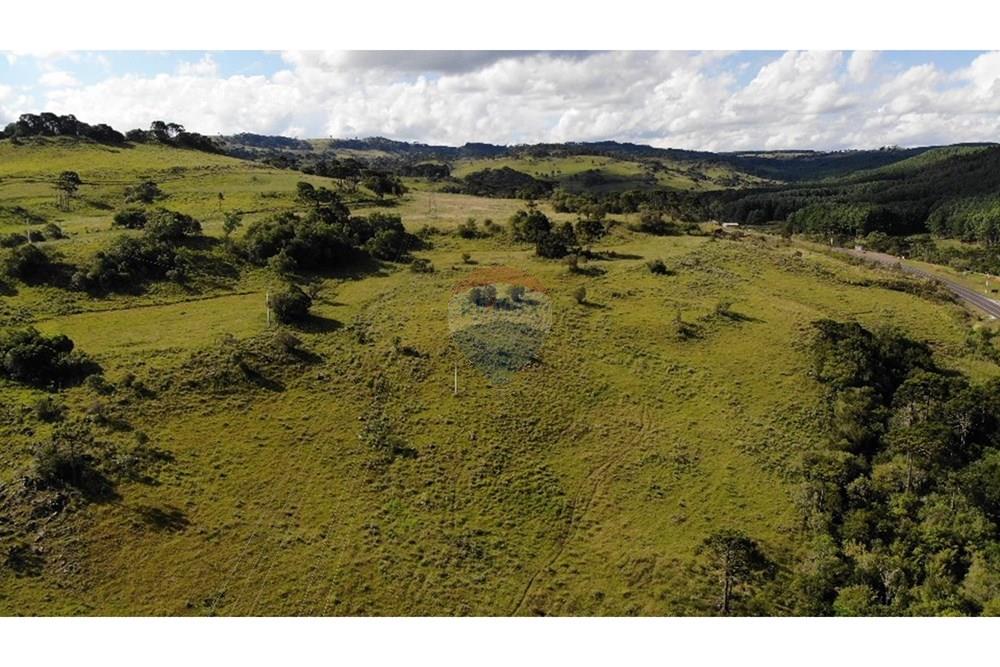 Chácara / Sítio / Fazenda - Venda - Painel , Santa Catarina - DJI_0103J.jpeg - 590071044-22