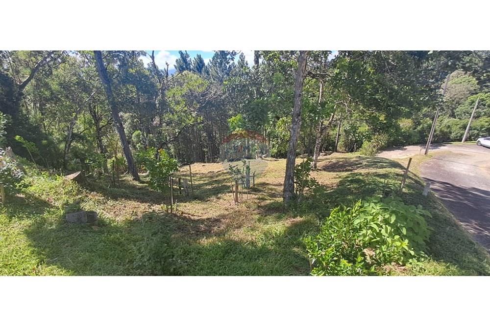 Terreno - Venda - Rancho Queimado , Santa Catarina - WhatsApp Image 2026-01-21 at 18.15.12.jpeg - 590471023-34