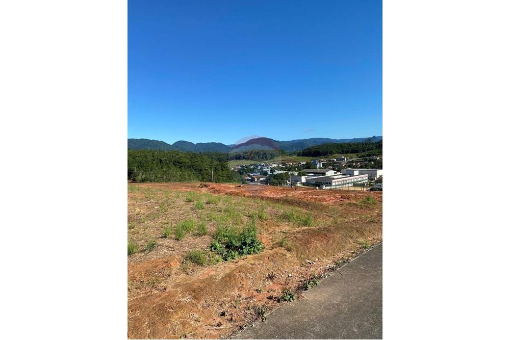 Terreno - Venda - Jaraguá do Sul , Santa Catarina - WhatsApp Image 2024-09-12 at 16.46.41.jpeg - 590451003-66