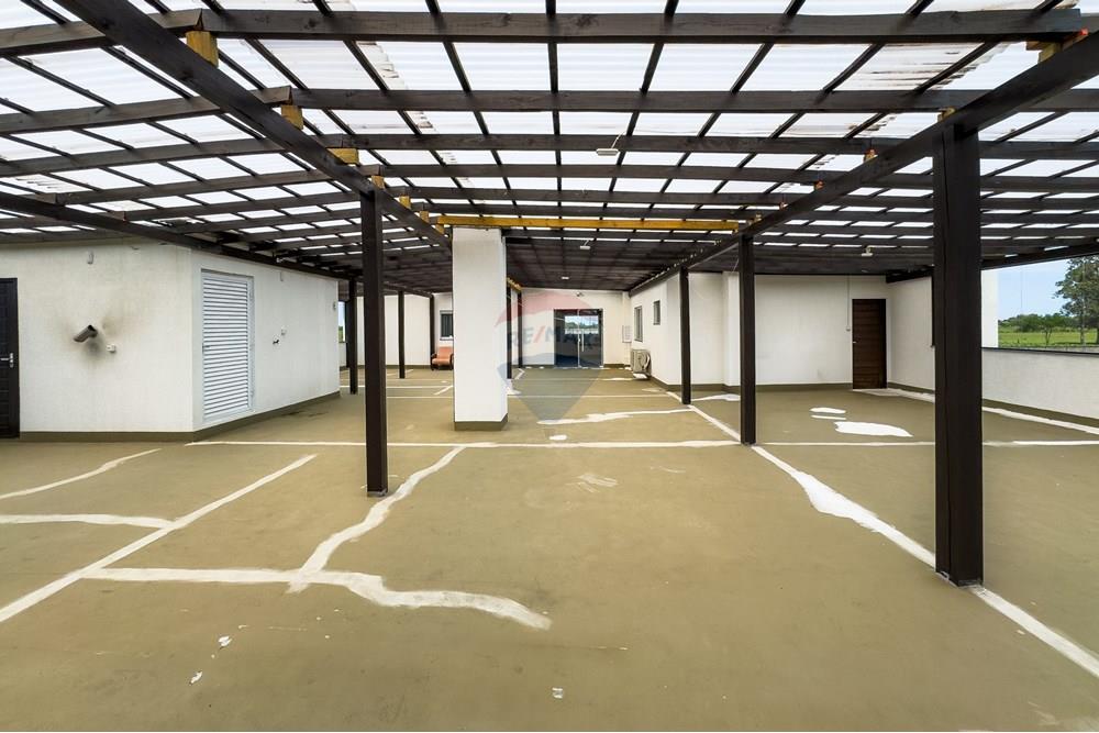 Chácara / Sítio / Fazenda - Venda - Araranguá , Santa Catarina - IMG_9616.jpg - 590311016-47