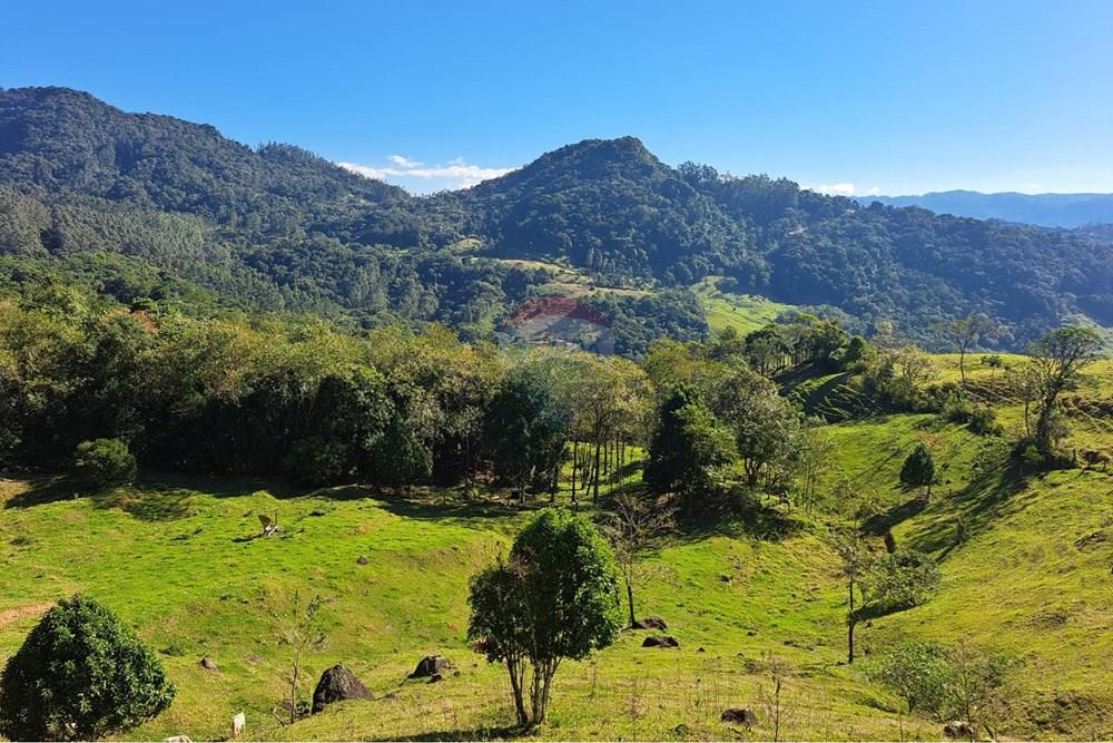 Terreno - Venda - Indaial , Santa Catarina - WhatsApp Image 2026-02-26 at 10.06.35.jpeg - 590301027-114