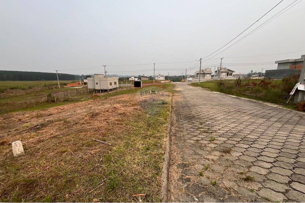 Terreno - Venda - Criciúma , Santa Catarina - IMG-20240910-WA0049.jpg - 590311017-48