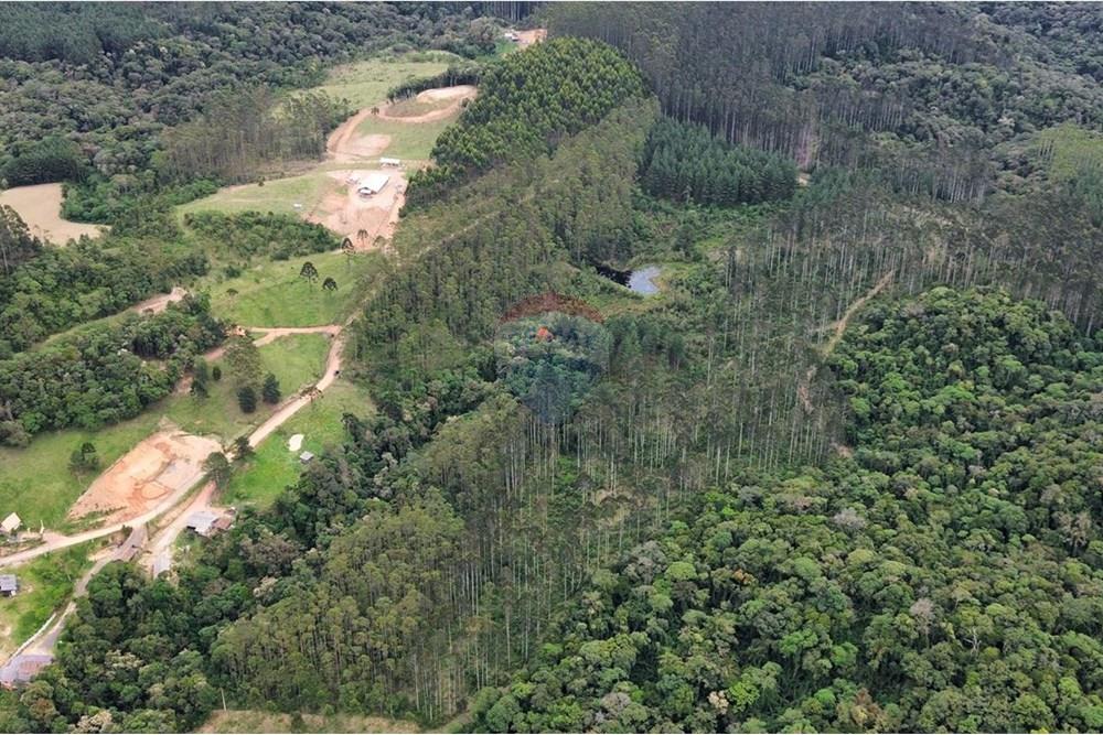 Terreno - Venda - Rio dos Cedros , Santa Catarina - IMG-20251017-WA0035.jpg - 590211067-4