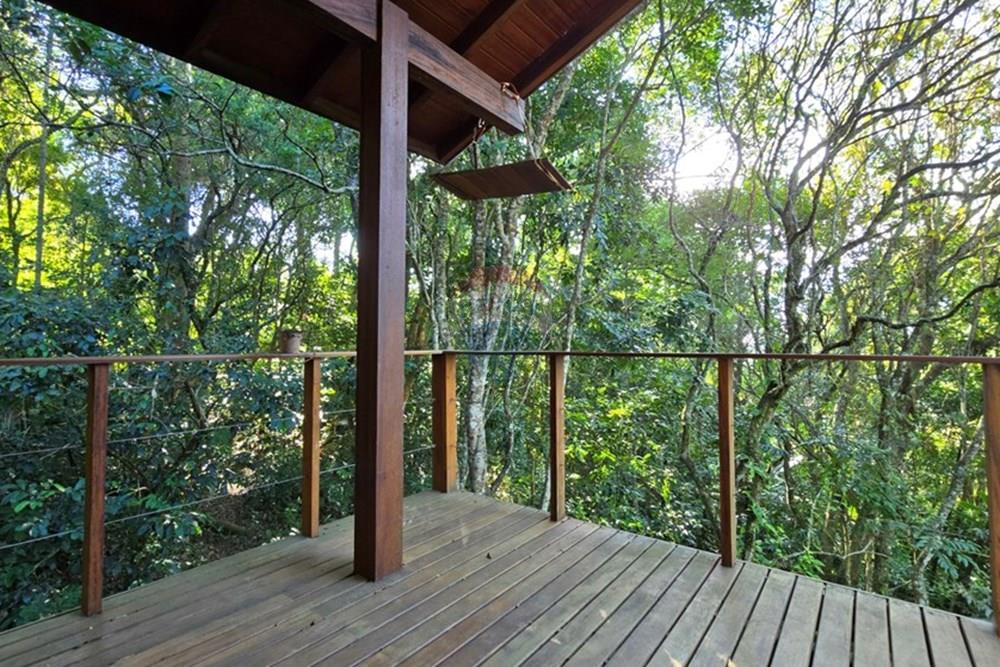 Casa - Venda - Florianópolis , Santa Catarina - 20250530_100029.jpg - 590101001-60