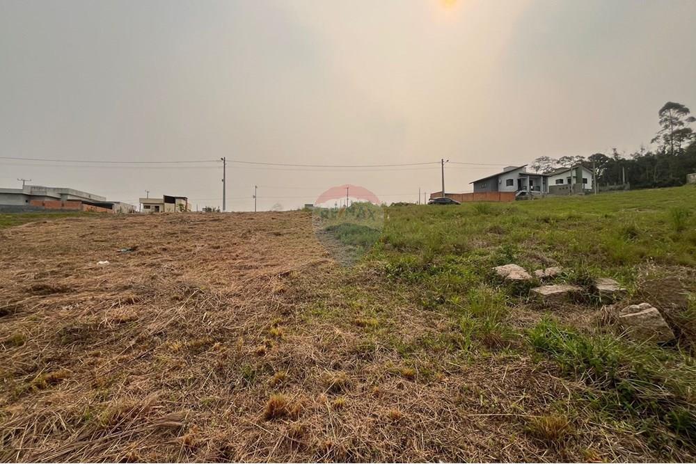 Terreno - Venda - Criciúma , Santa Catarina - IMG-20240910-WA0051.jpg - 590311017-48