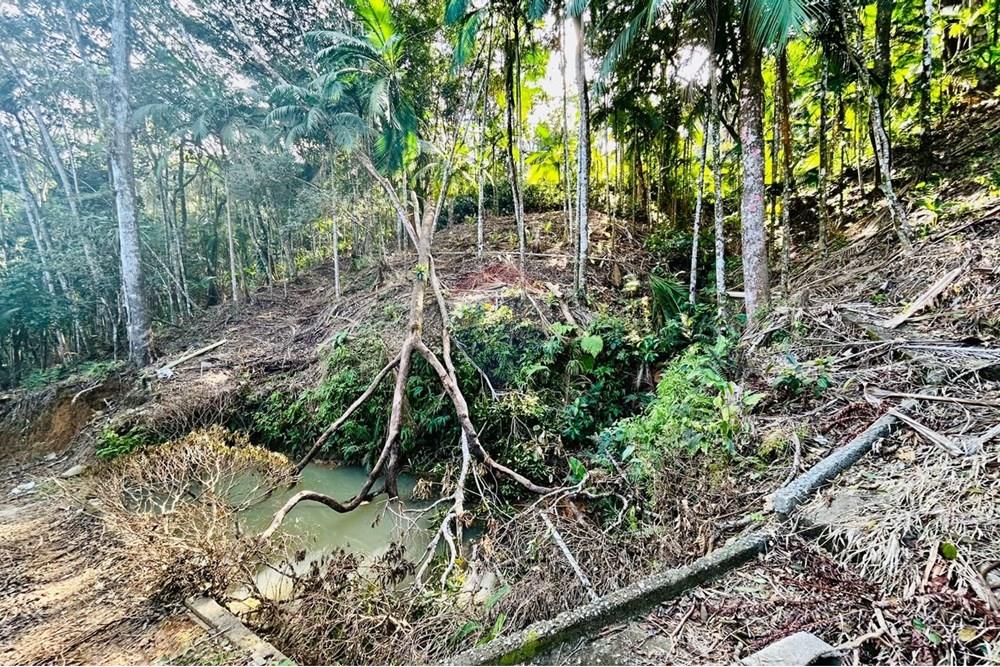 Chácara / Sítio / Fazenda - Venda - Itapema , Santa Catarina - WhatsApp Image 2025-07-14 at 16.25.39.jpeg - 590401053-3