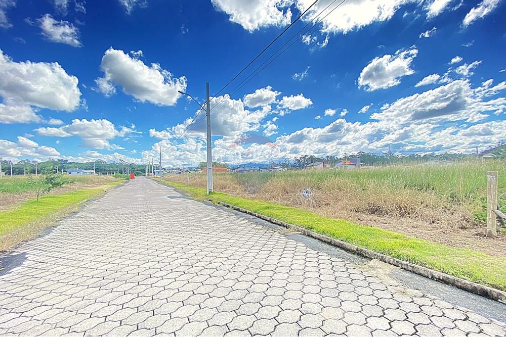 Terreno - Venda - Criciúma , Santa Catarina - IMG_0207.jpg - 590311016-38