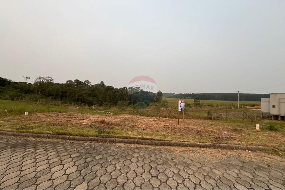 Terreno - Venda - Criciúma , Santa Catarina - IMG-20240910-WA0050.jpg - 590311017-48