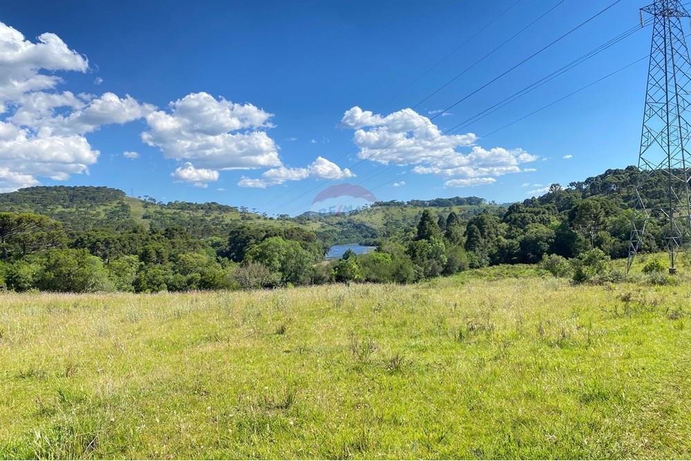 Chácara / Sítio / Fazenda - Venda - Painel , Santa Catarina - IMG_8280.JPG - 590071044-22