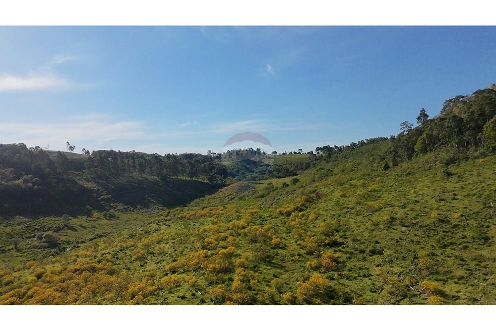 Chácara / Sítio / Fazenda - Venda - São José do Cerrito , Santa Catarina - DJI_20251111163923_0006_D.JPG - 590071044-13